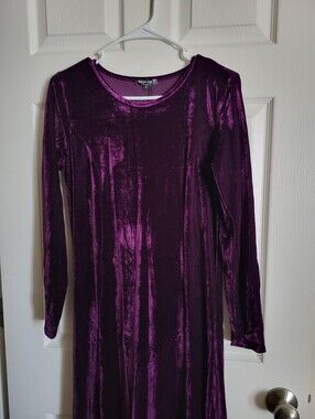 Velvet Long Sleeve Dress in Deep Plum